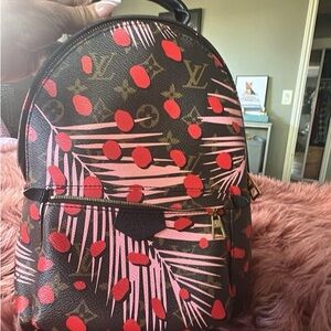 Louis Vuitton Brown and Red Patterned Backpack
